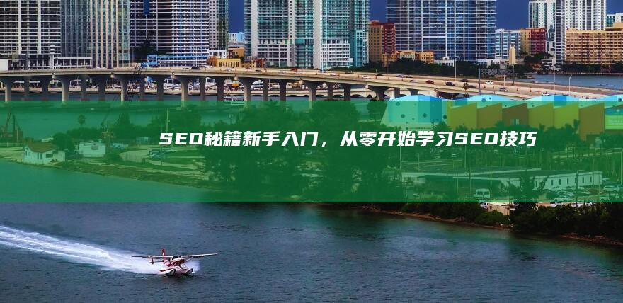 SEO秘籍：新手入门，从零开始学习SEO技巧与优化